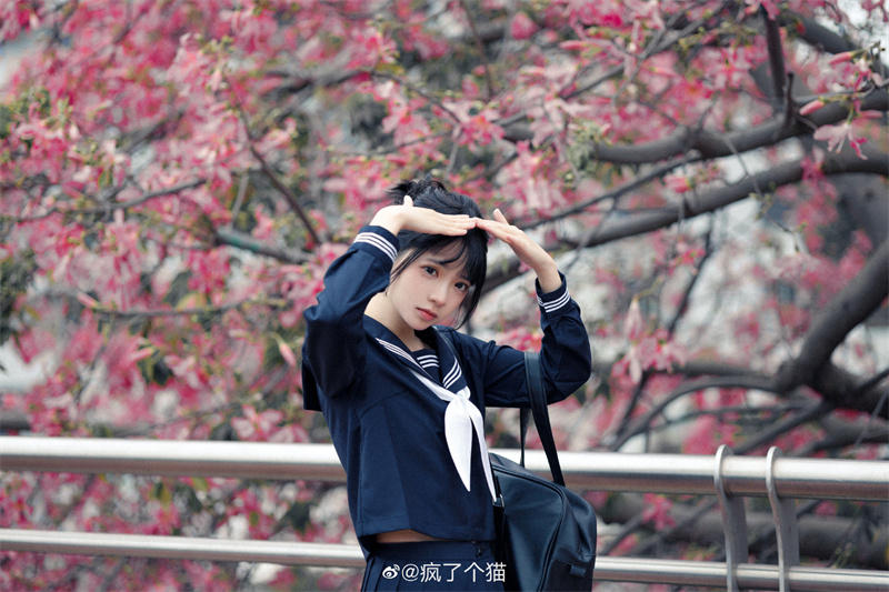 疯猫ss图片合集赏析，完美的初恋女友