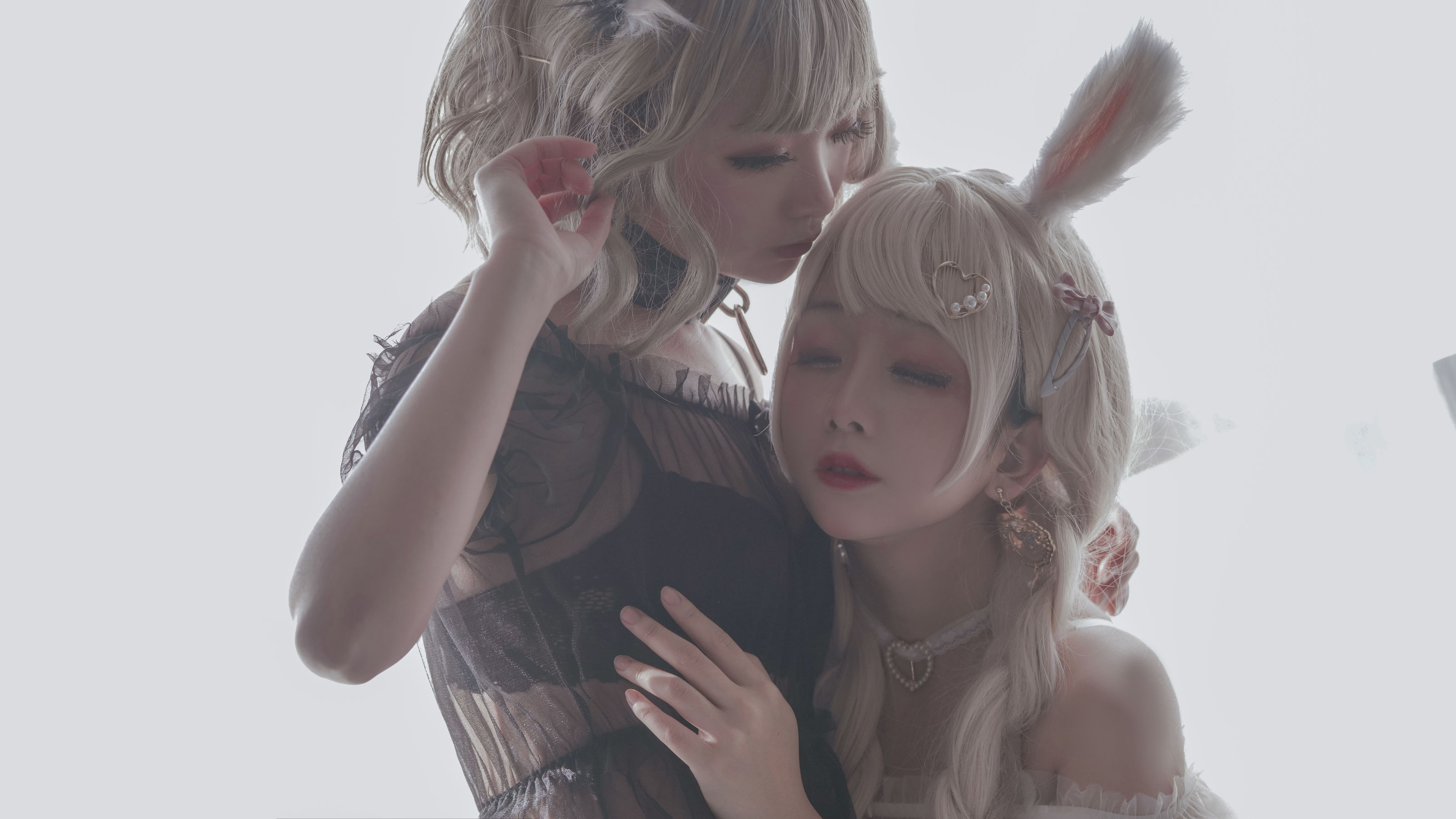 日奈娇猫和兔（兔与猫）精品摄影作品赏析