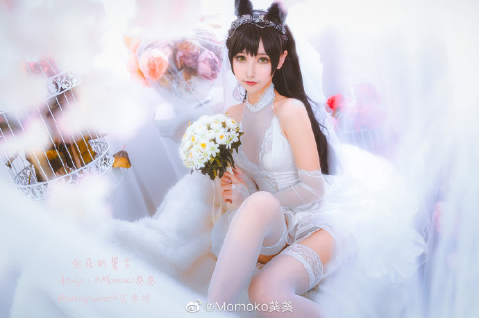 Momoko葵葵cos《碧蓝航线》的爱宕,白花舞动的迷恋 Momoko葵葵cos《碧蓝航线》的爱宕,白花舞动的迷恋