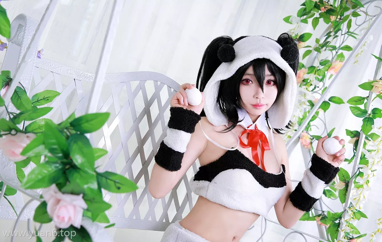 白易子教主的LOVELIVE免费图集浏览