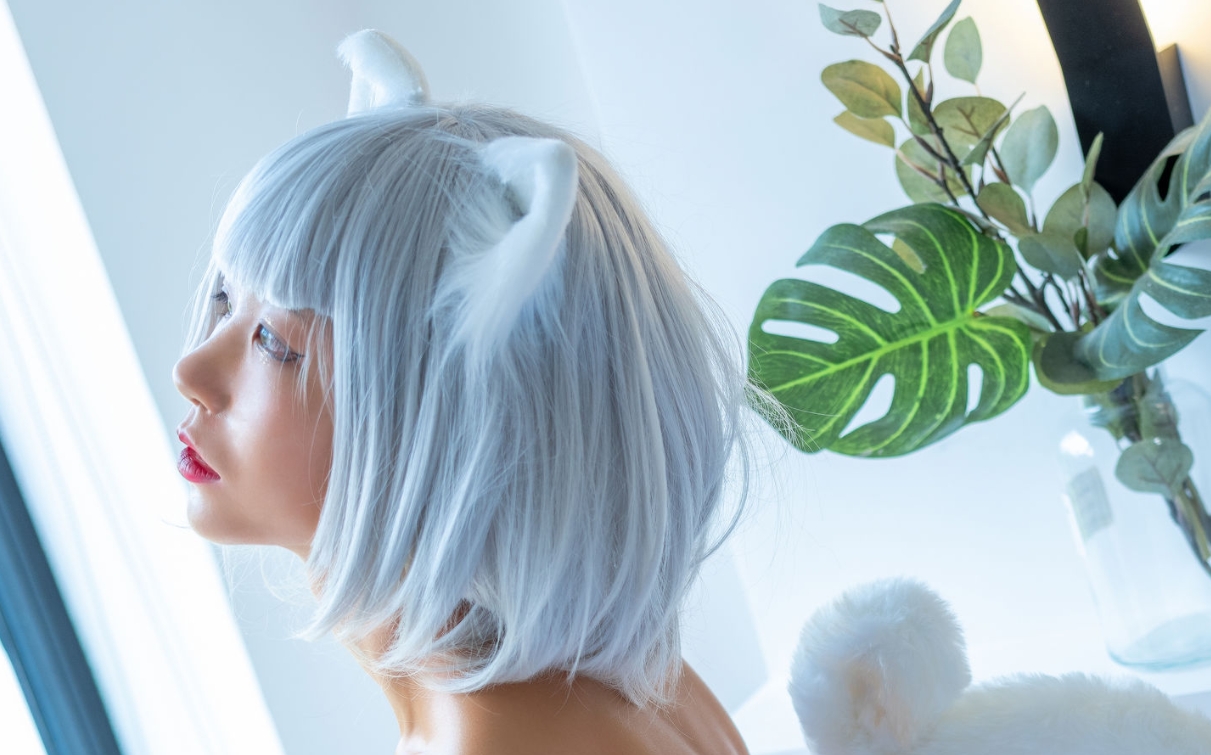水淼aqua《白猫》—一场让人心动的萌系之旅