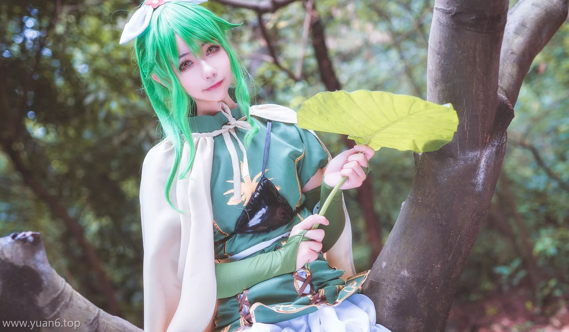 美图欣赏丨Coser_Momoko葵葵-Eternal Fantasy法露忒[20P-394MB]