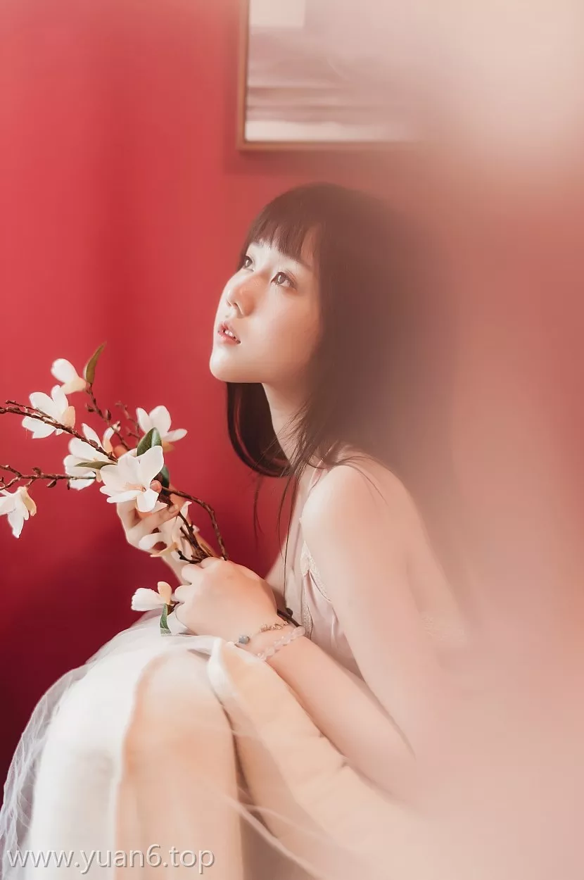 美图欣赏丨Coser镜酱-不知梦私房[15P-323MB]