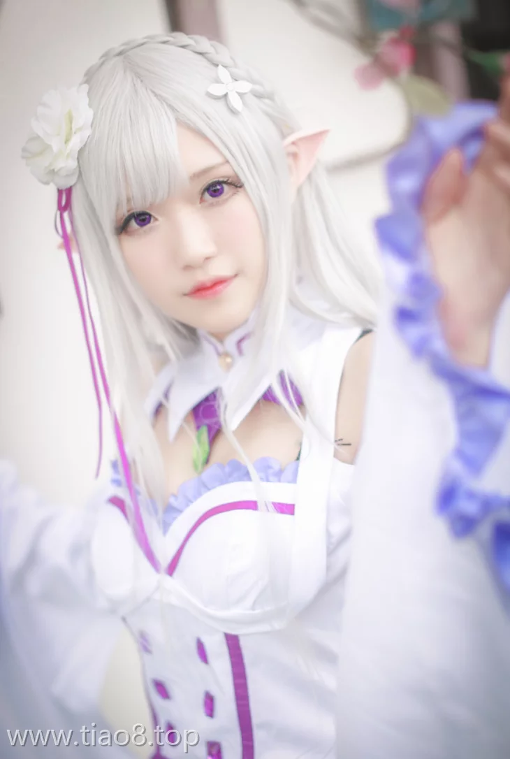 美图欣赏丨Coser腐团儿:NO.019-从零开始的异世界生活 艾米莉娅[18P-35MB]