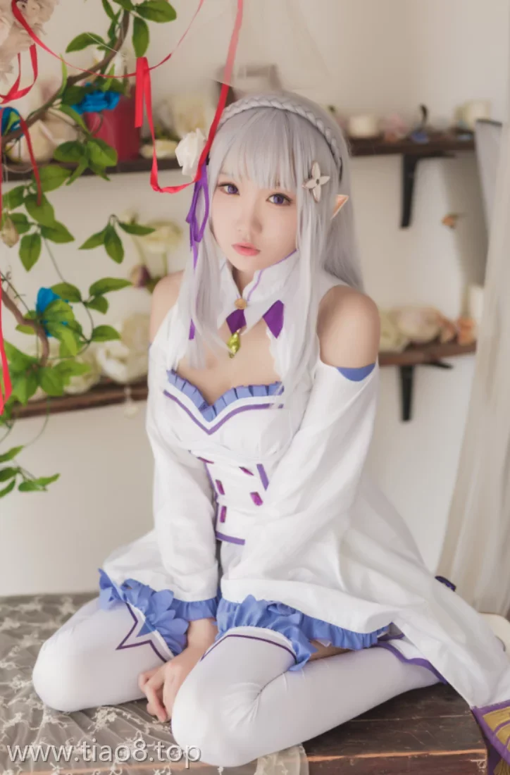 美图欣赏丨Coser瓜希酱:NO.004-艾米莉亚[16P-60MB]