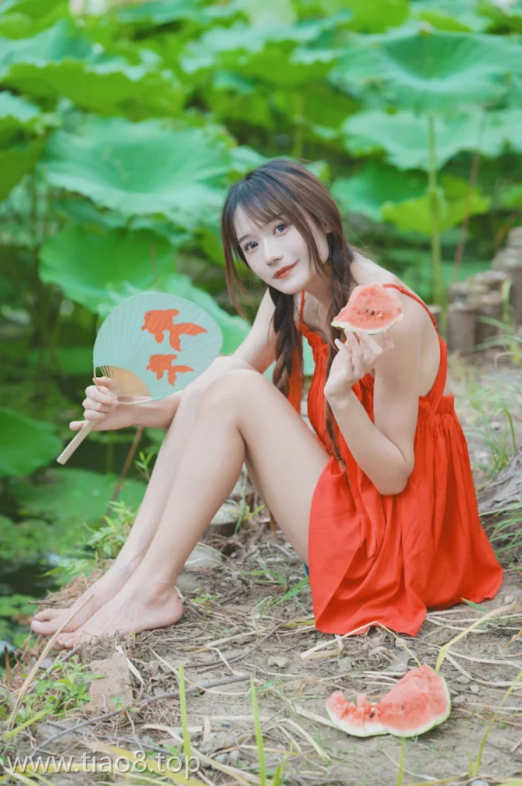 美图欣赏丨Coser兔子Zzz不吃胡萝卜:NO.0158-夏日香气[30P-202.5M]