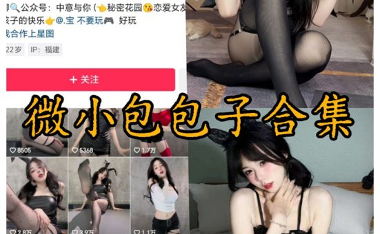 微小包包子微密圈付费写真视频合集
