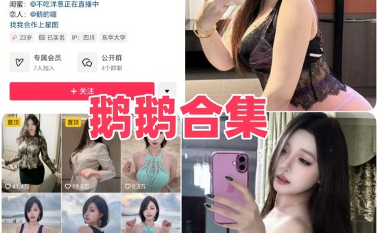 抖音网红鹅鹅 铁粉空间所有图片以及视频资源下载